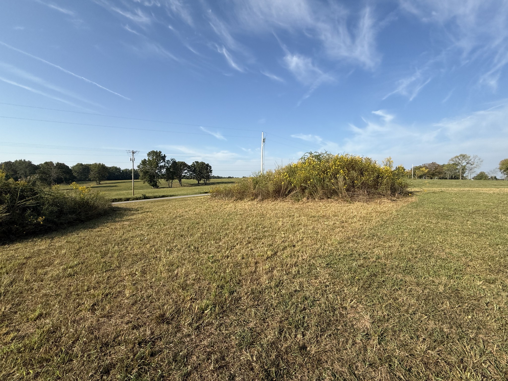 816 Tucker Road Dickson, TN 37055 - Photo 29 of 56 Gallery Image 29