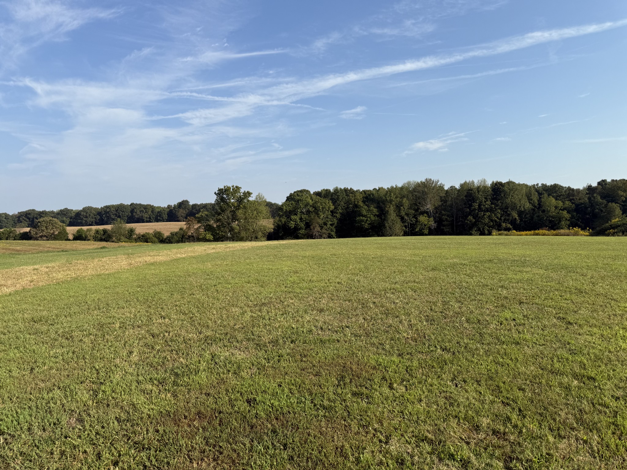 816 Tucker Road Dickson, TN 37055 - Photo 33 of 56 Gallery Image 33