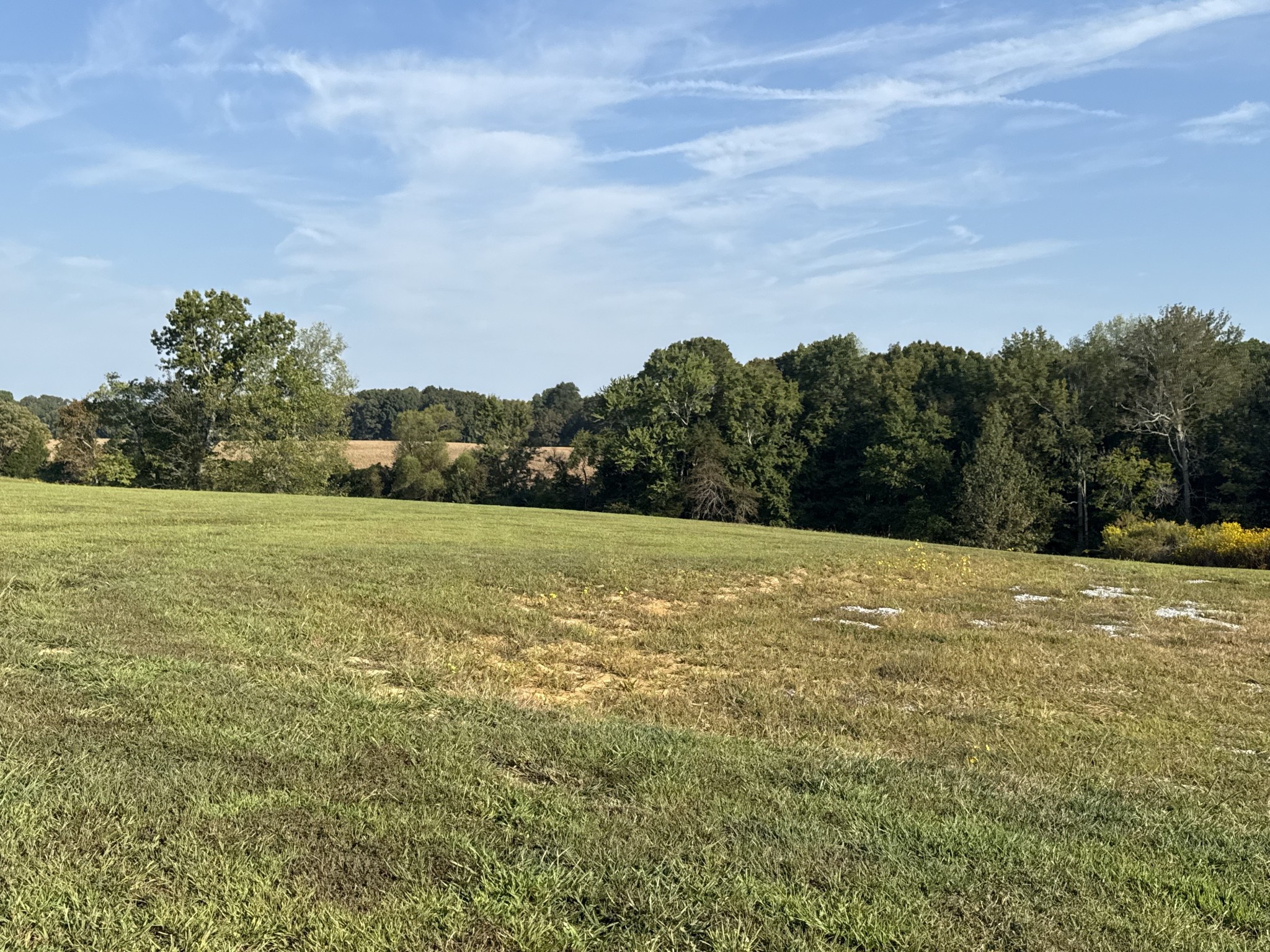 816 Tucker Road Dickson, TN 37055 - Photo 34 of 56 Gallery Image 34