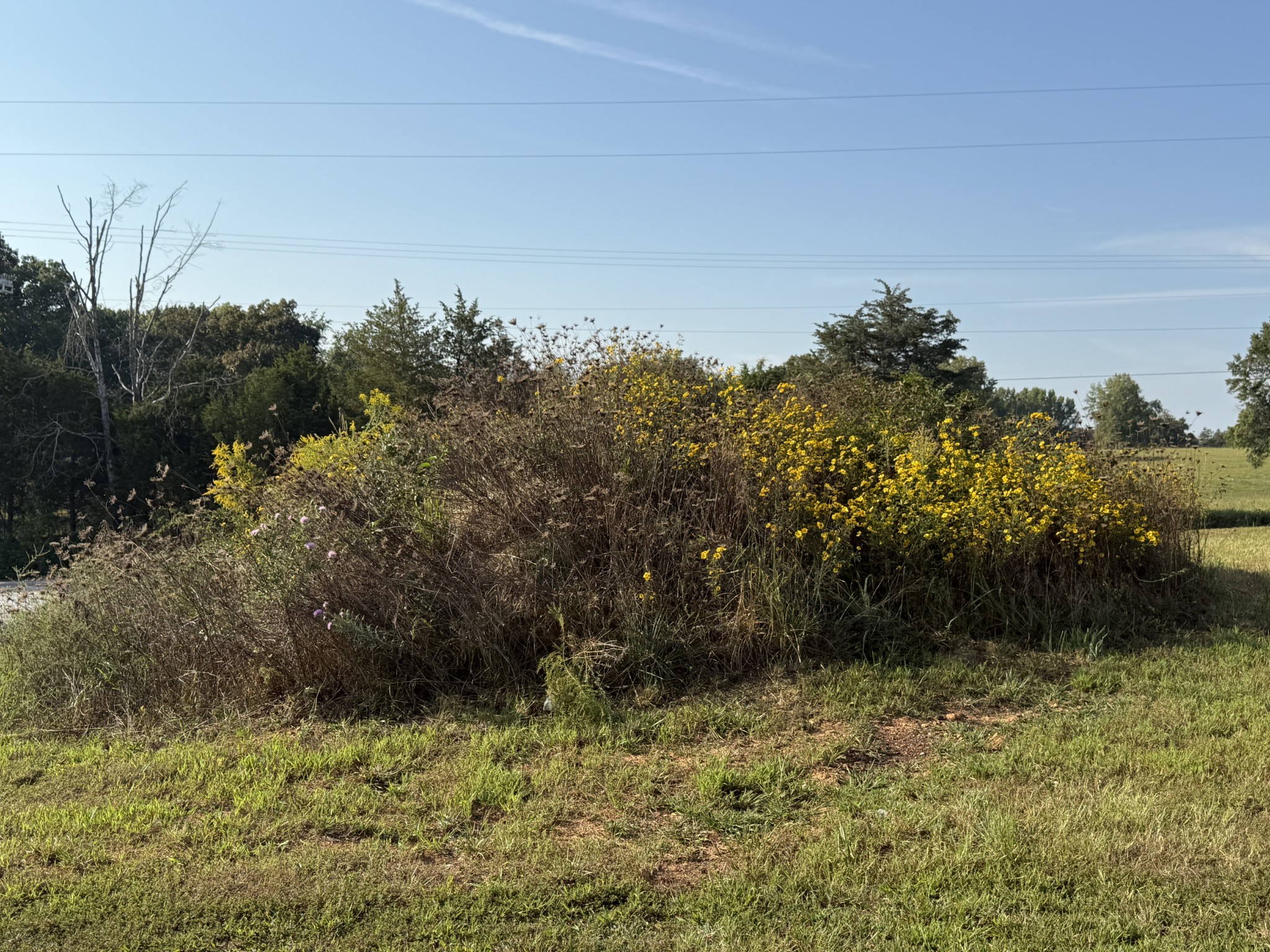 816 Tucker Road Dickson, TN 37055 - Photo 35 of 56 Gallery Image 35