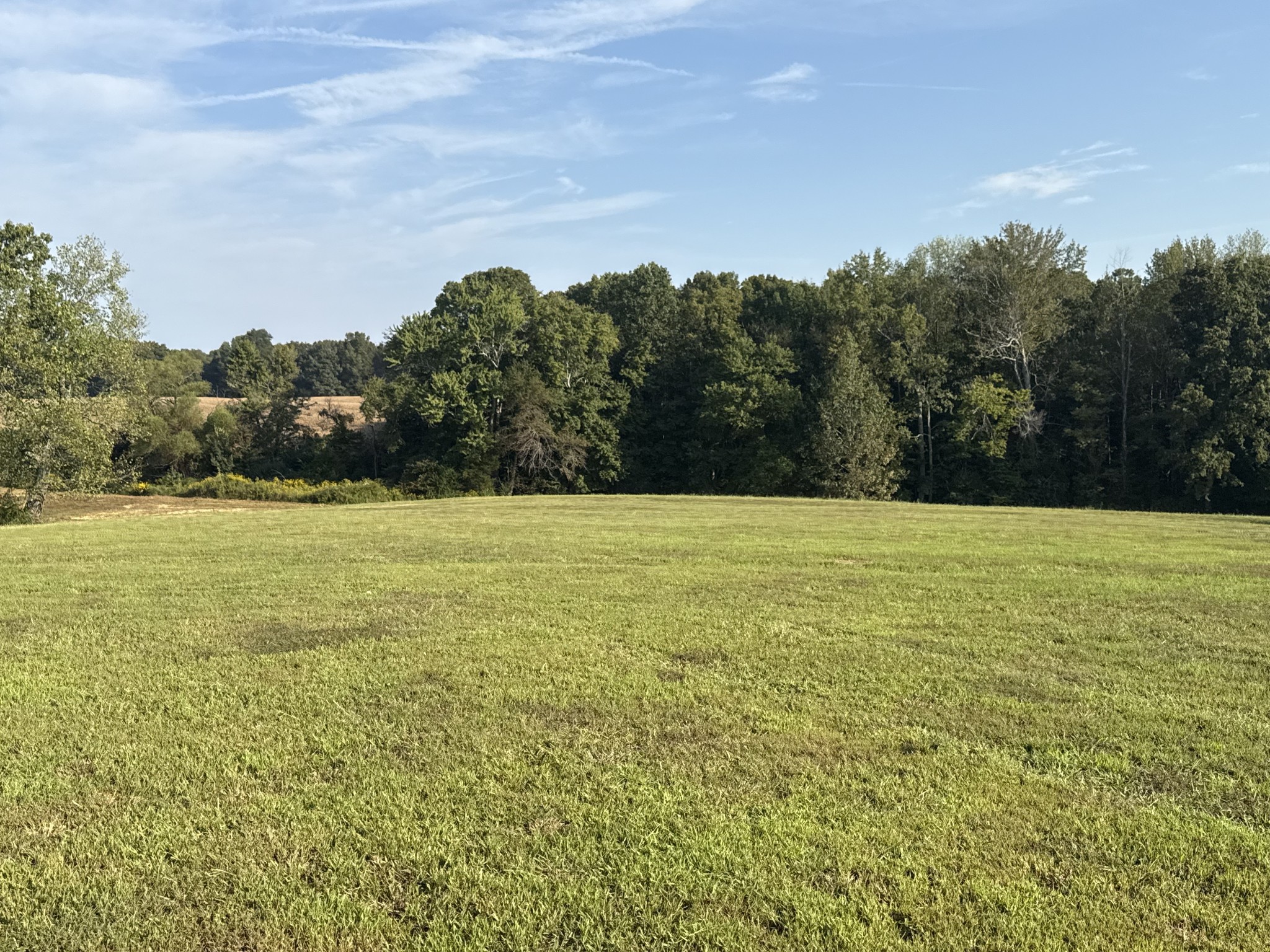 816 Tucker Road Dickson, TN 37055 - Photo 48 of 56 Gallery Image 48