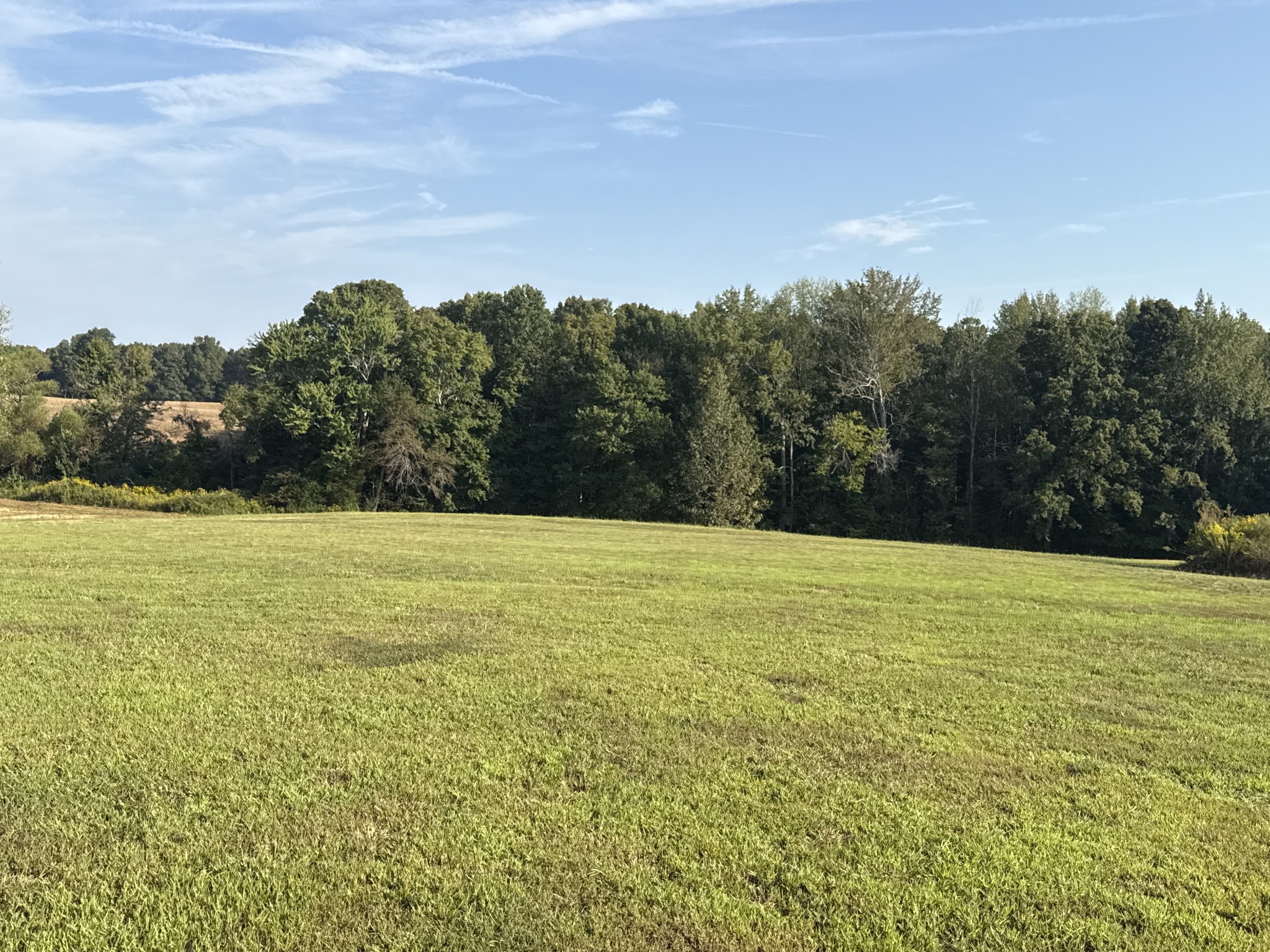 816 Tucker Road Dickson, TN 37055 - Photo 50 of 56 Gallery Image 50