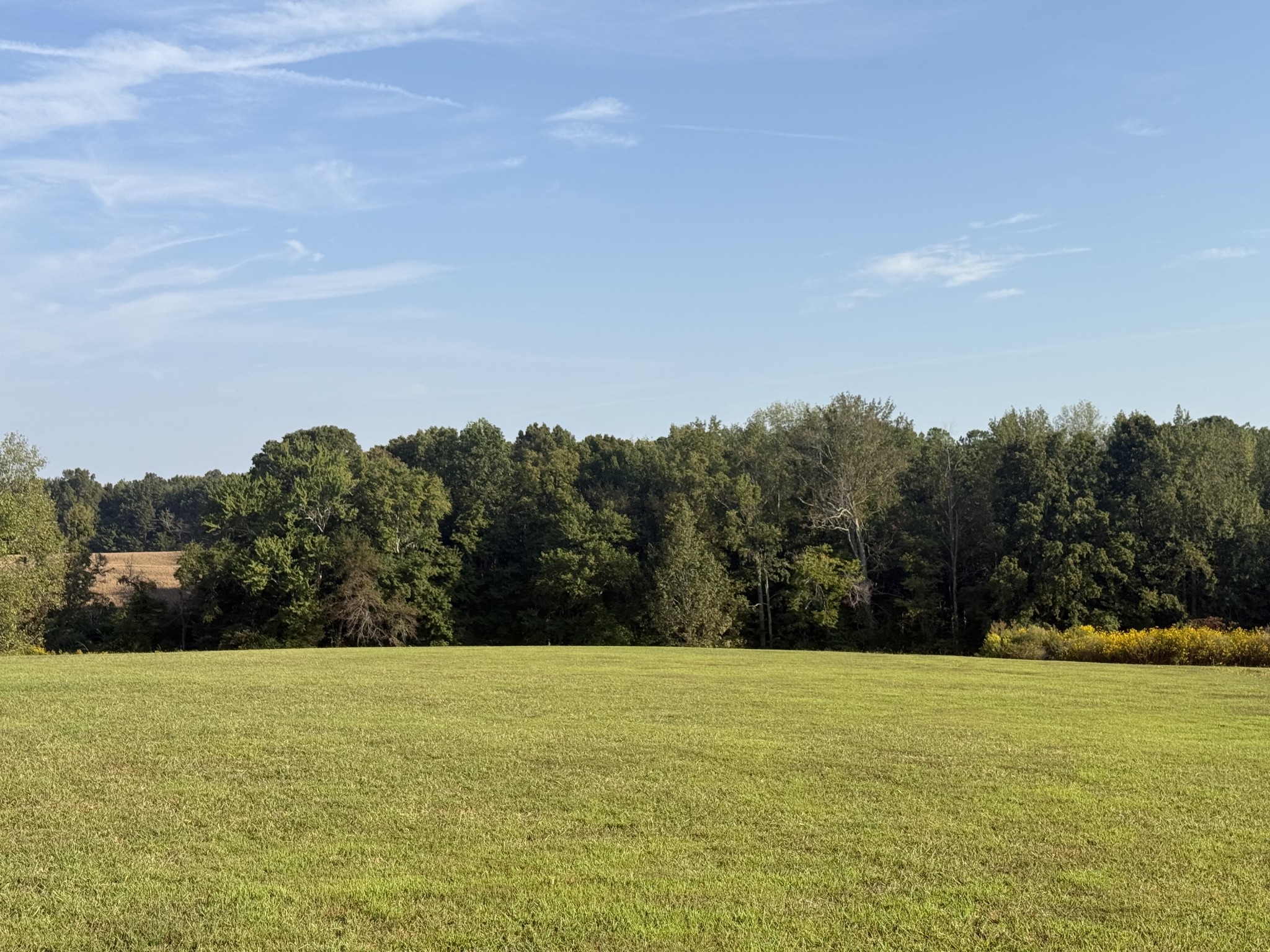 816 Tucker Road Dickson, TN 37055 - Photo 53 of 56 Gallery Image 53