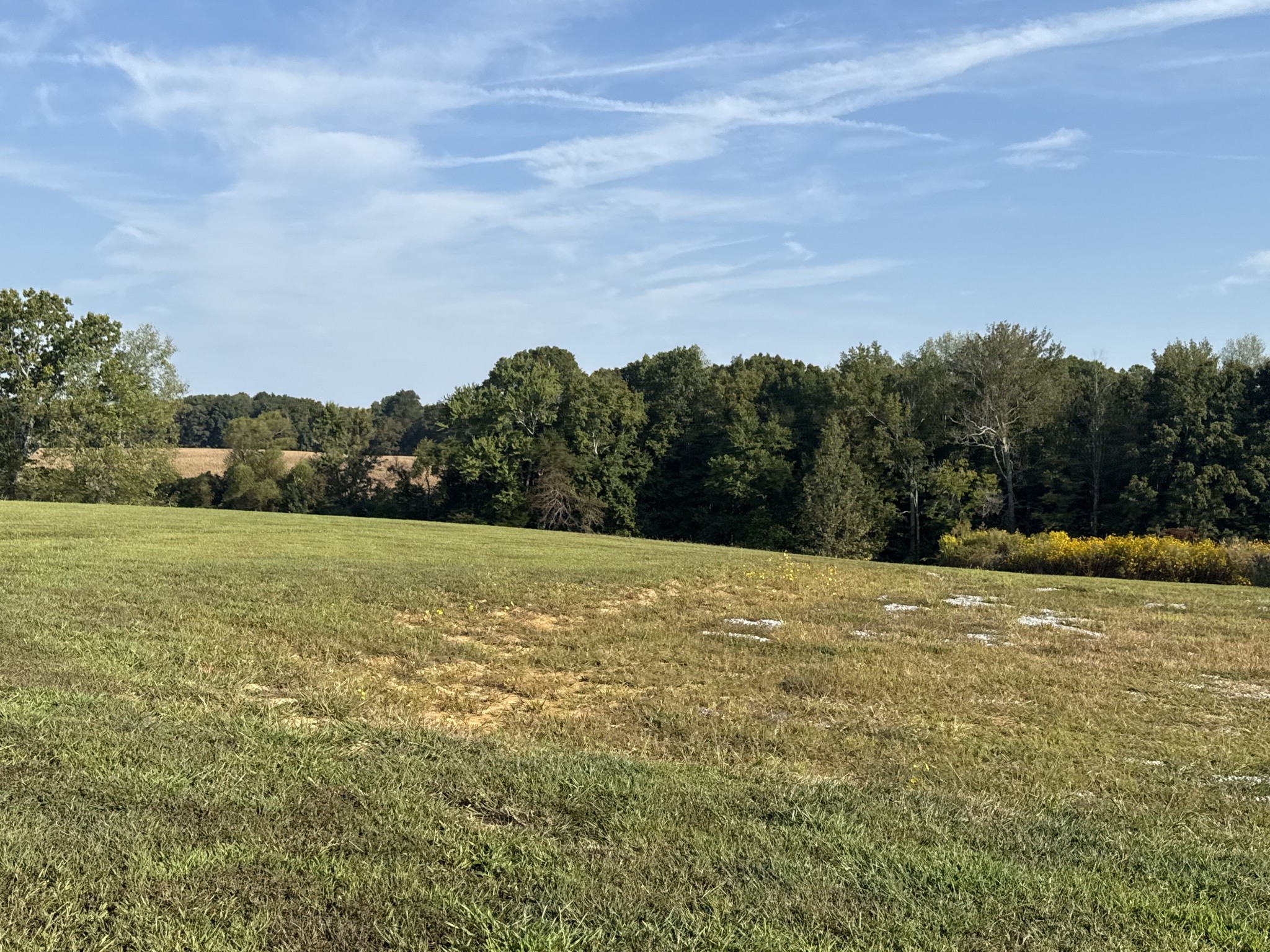 816 Tucker Road Dickson, TN 37055 - Photo 6 of 56 Gallery Image 6