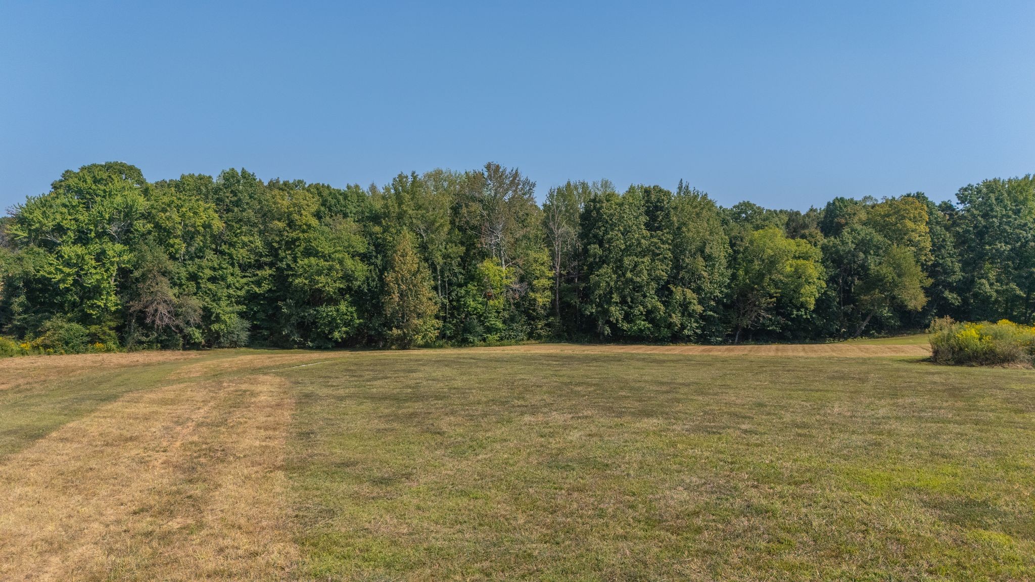 816 Tucker Road Dickson, TN 37055 - Photo 7 of 56 Gallery Image 7