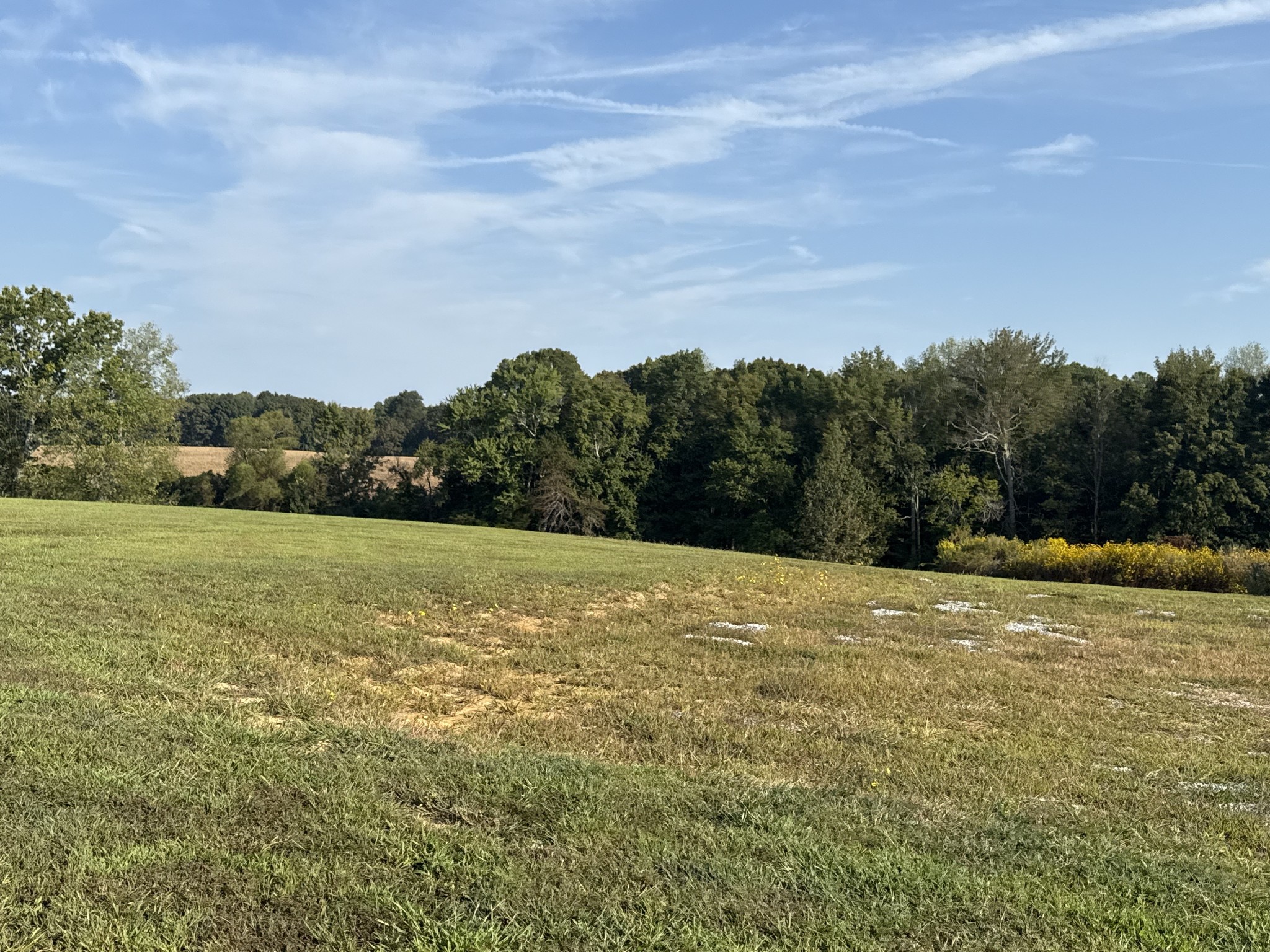 816 Tucker Road Dickson, TN 37055 - Photo 8 of 56 Gallery Image 8