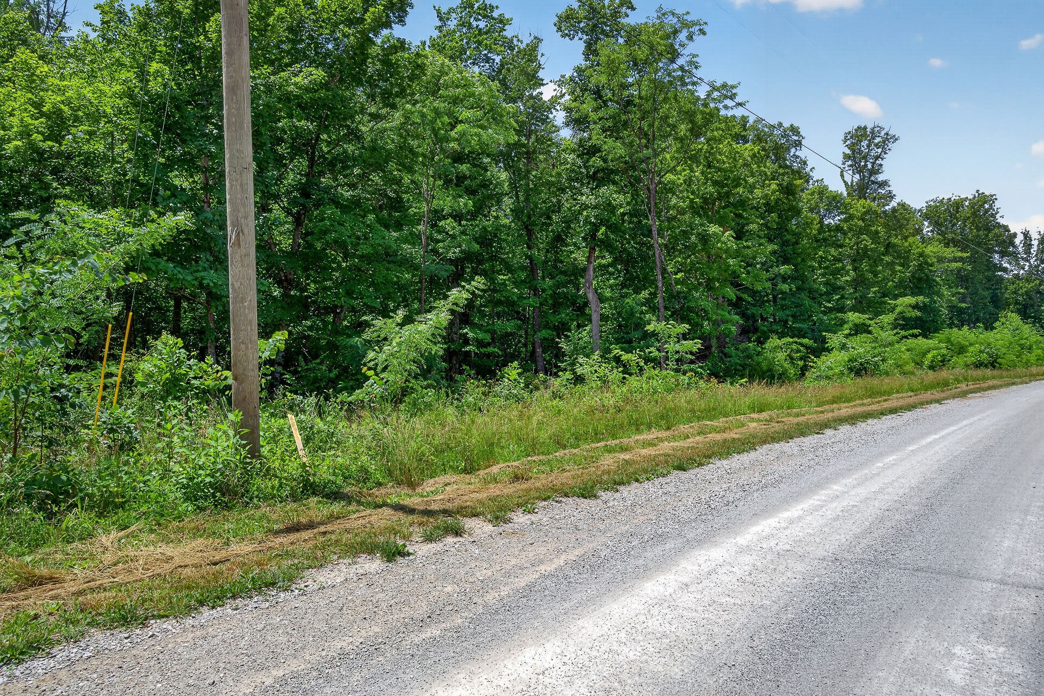 0 Coal Bank Road Sparta, TN 38583 - Photo 13 of 15 a view of a yard with plants and large trees