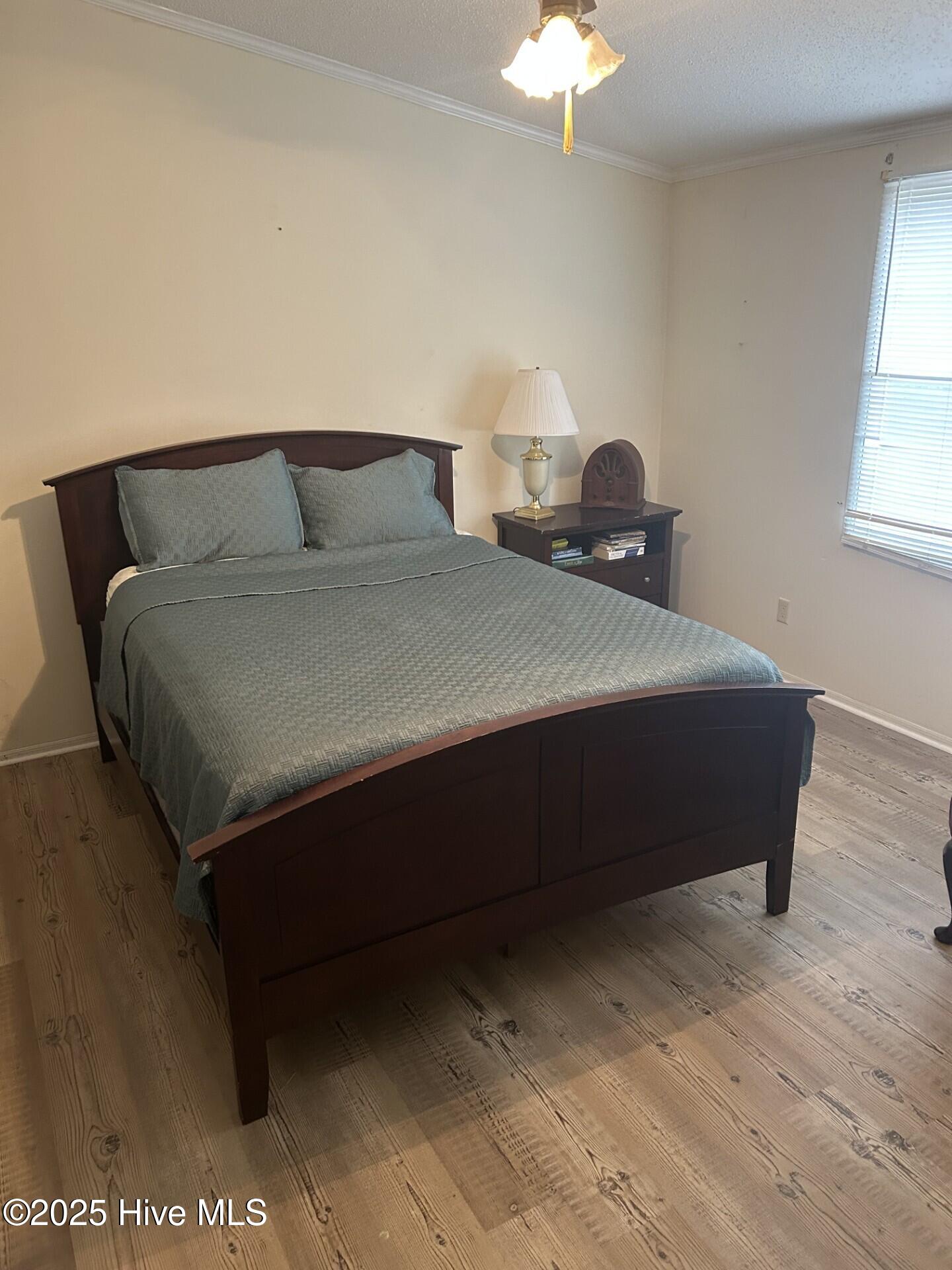 894 Pond Road Rocky Point, NC 28457 - Photo 11 of 19 Master Bedroom