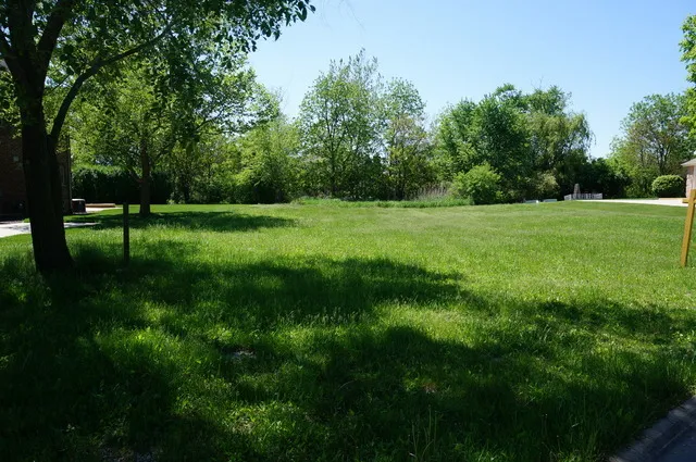 a view of field with trees in the background
