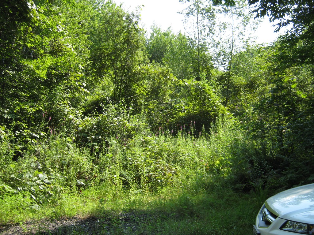 0 East Lantern Road Lincoln, RI 02865 - Photo 3 of 5 Gallery Image 3