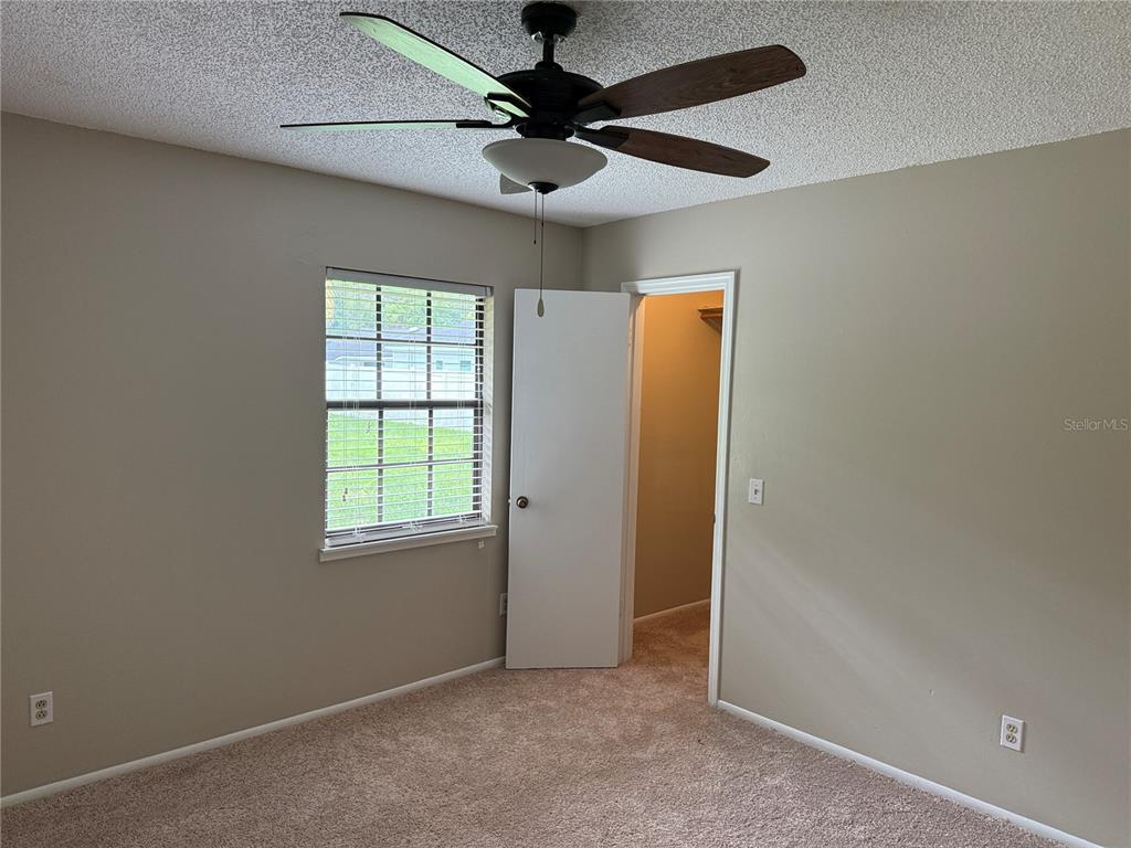 703 Crystal Lake Road Lutz, FL 33548 - Photo 24 of 59 Gallery Image 24