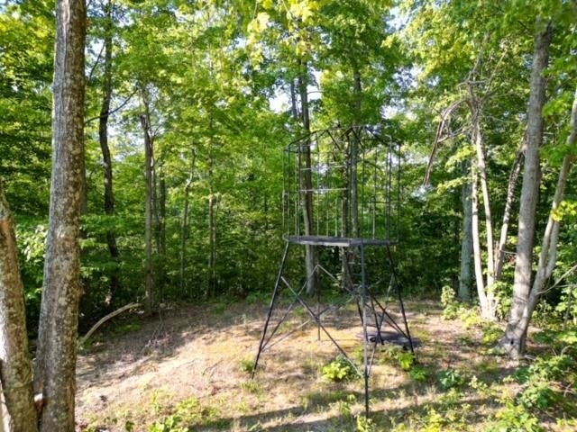 0 Lycans Branch Road Ona, WV 25545 - Photo 7 of 12 Gallery Image 7