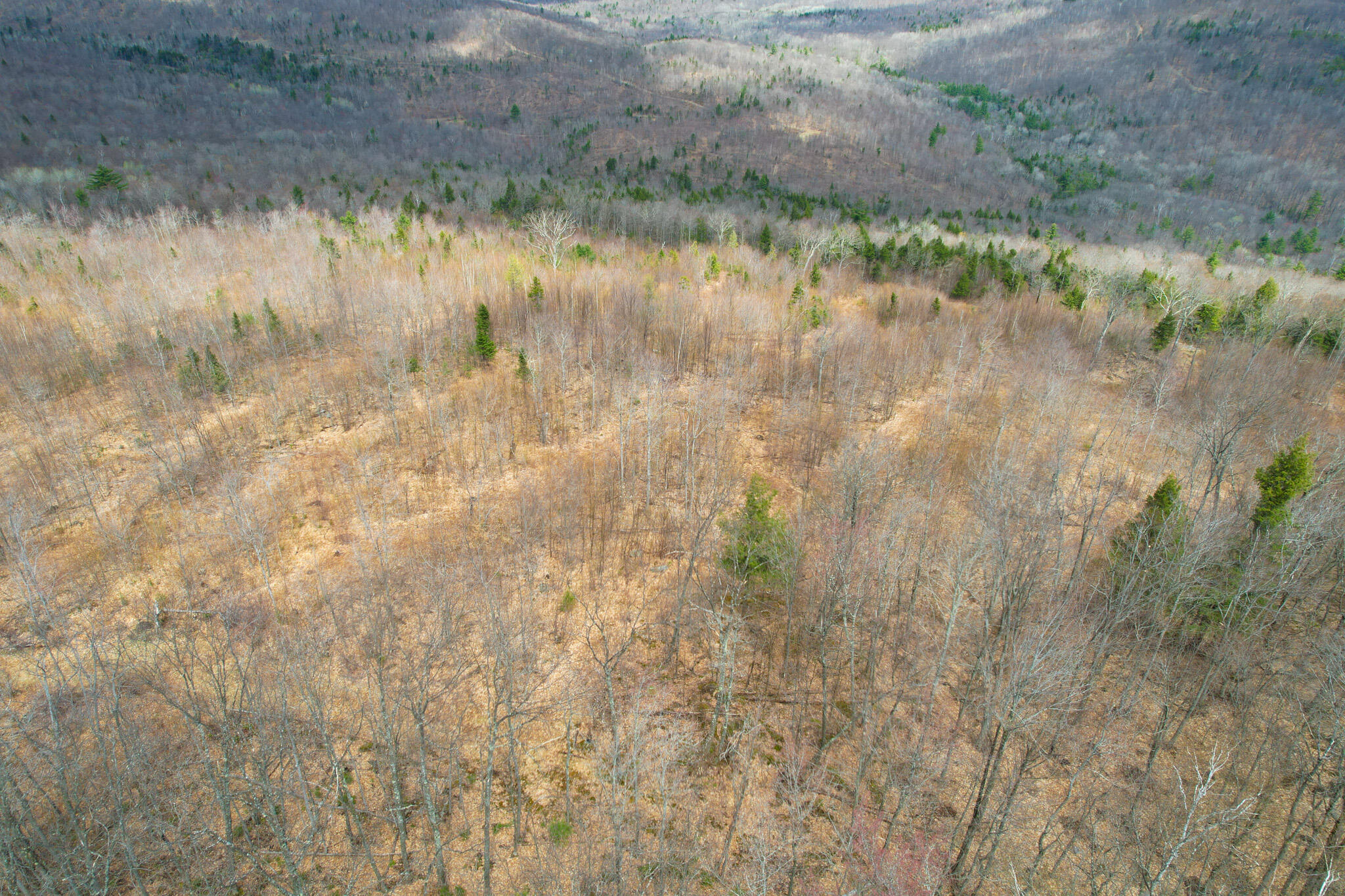 Mr02-l019 Holman Pond Road Temple, ME 04984 - Photo 35 of 40 Holman Lot 19