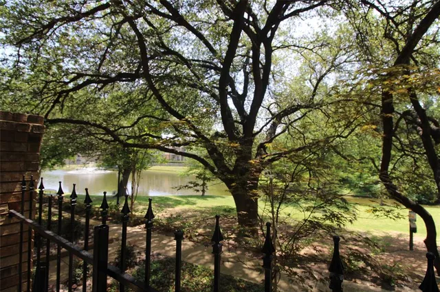 a view of a yard covered with trees