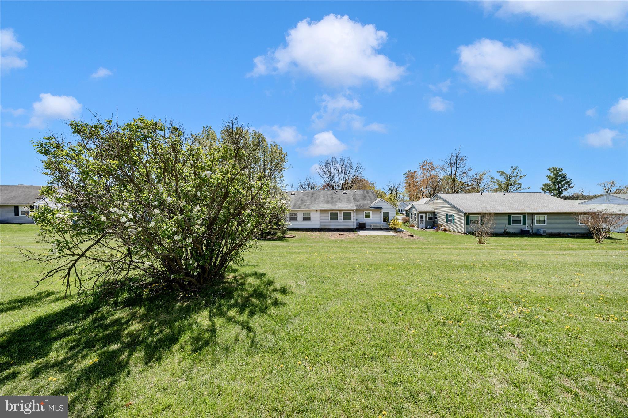 5738 Box Elder Court Frederick, MD 21703 - Photo 37 of 50 Backyard