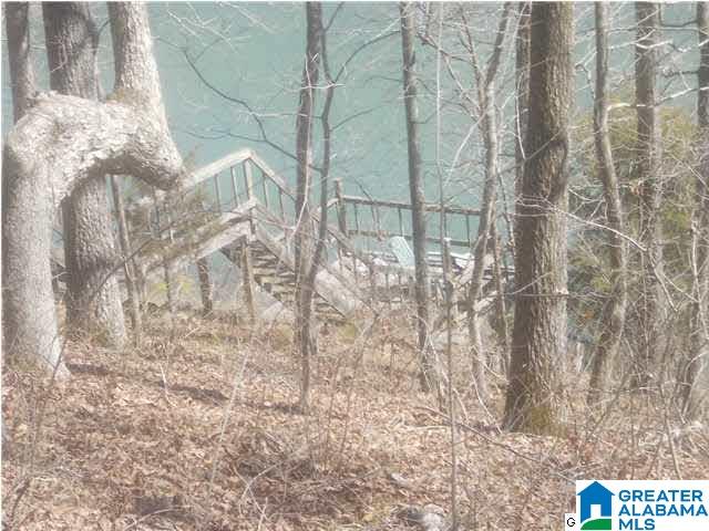 1356 County Road 3782 Arley, AL 35541 - Photo 14 of 14