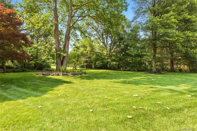 a view of yard with trees