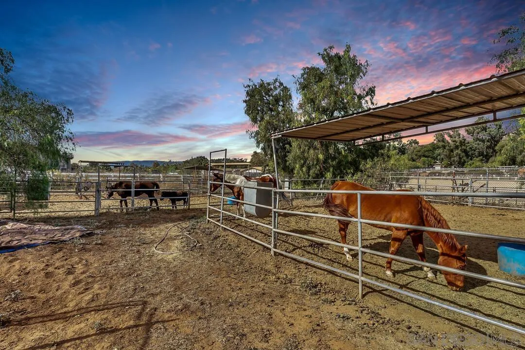 15127 Sycamore Canyon Road Poway, CA 92064 - Photo 4 of 47 a view of a large with large tree