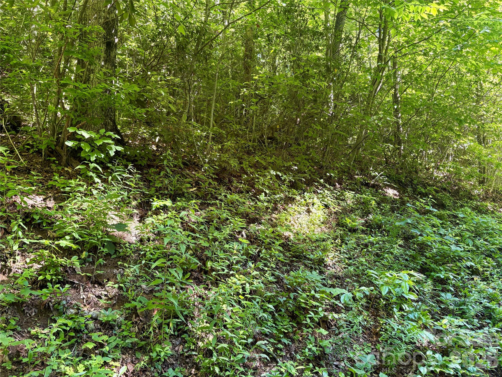 0 Middle Ridge, Unit 38 Whittier, NC 28789 - Photo 5 of 6
