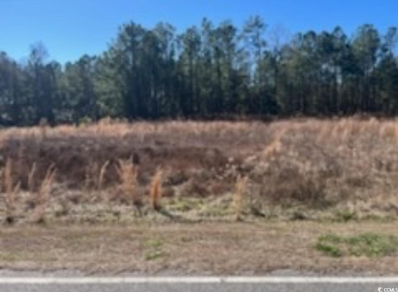 300 Russ Road Loris, SC 29569 - Photo 2 of 3 Gallery Image 2
