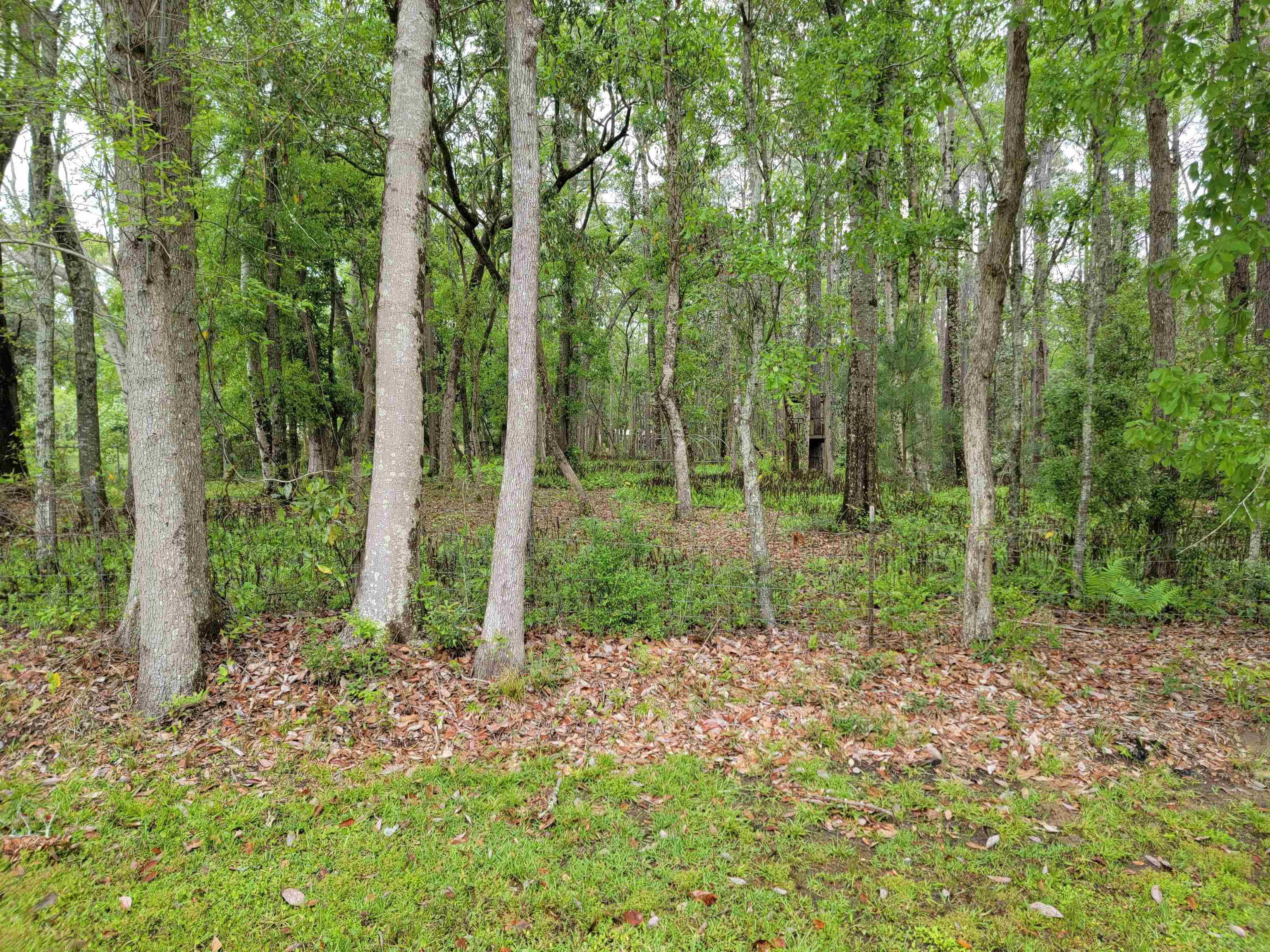 10 County Road Foley, AL 36535 - Photo 1 of 17