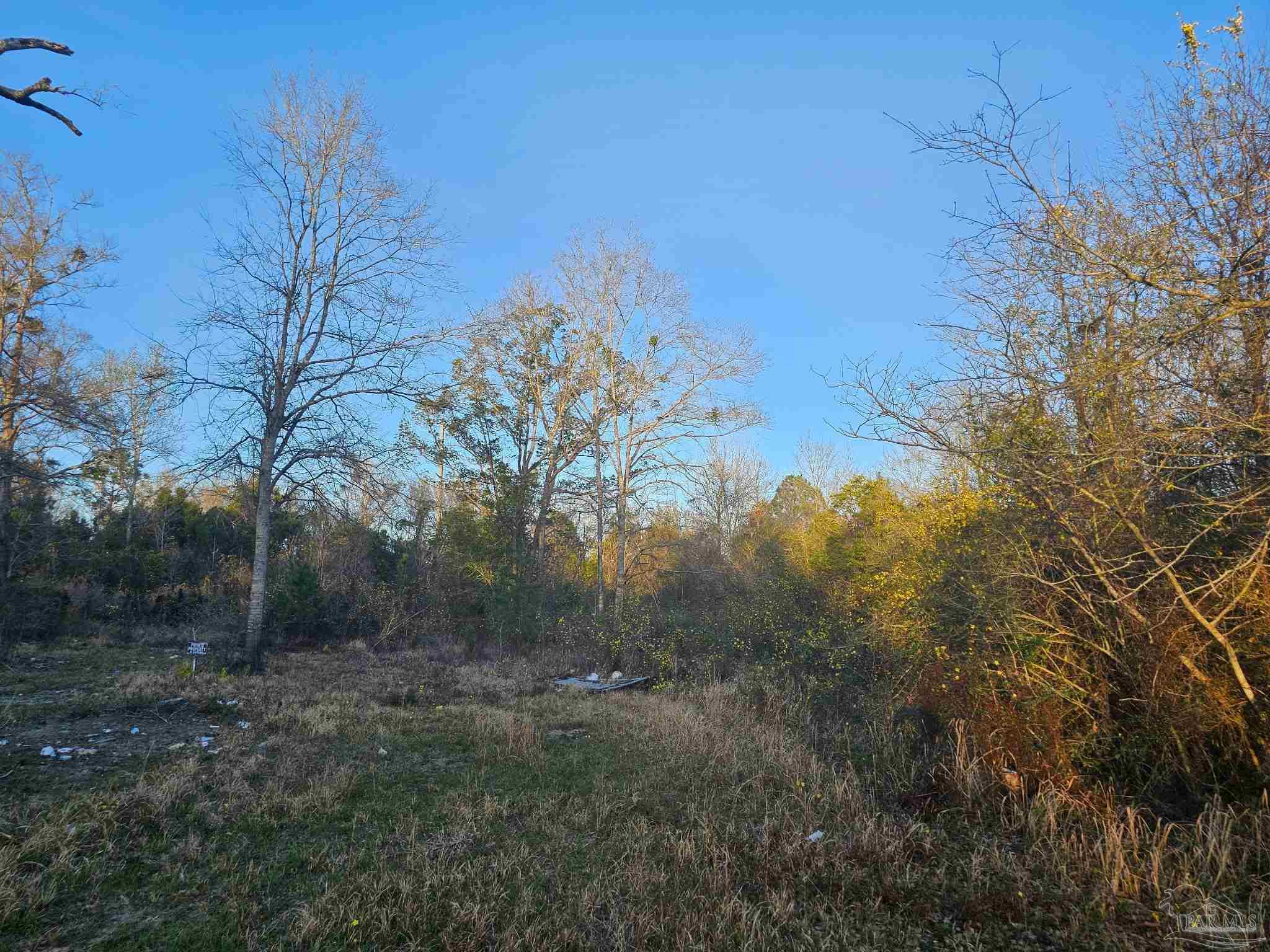 304 South Chipper Road Cantonment, FL 32533 - Photo 2 of 5