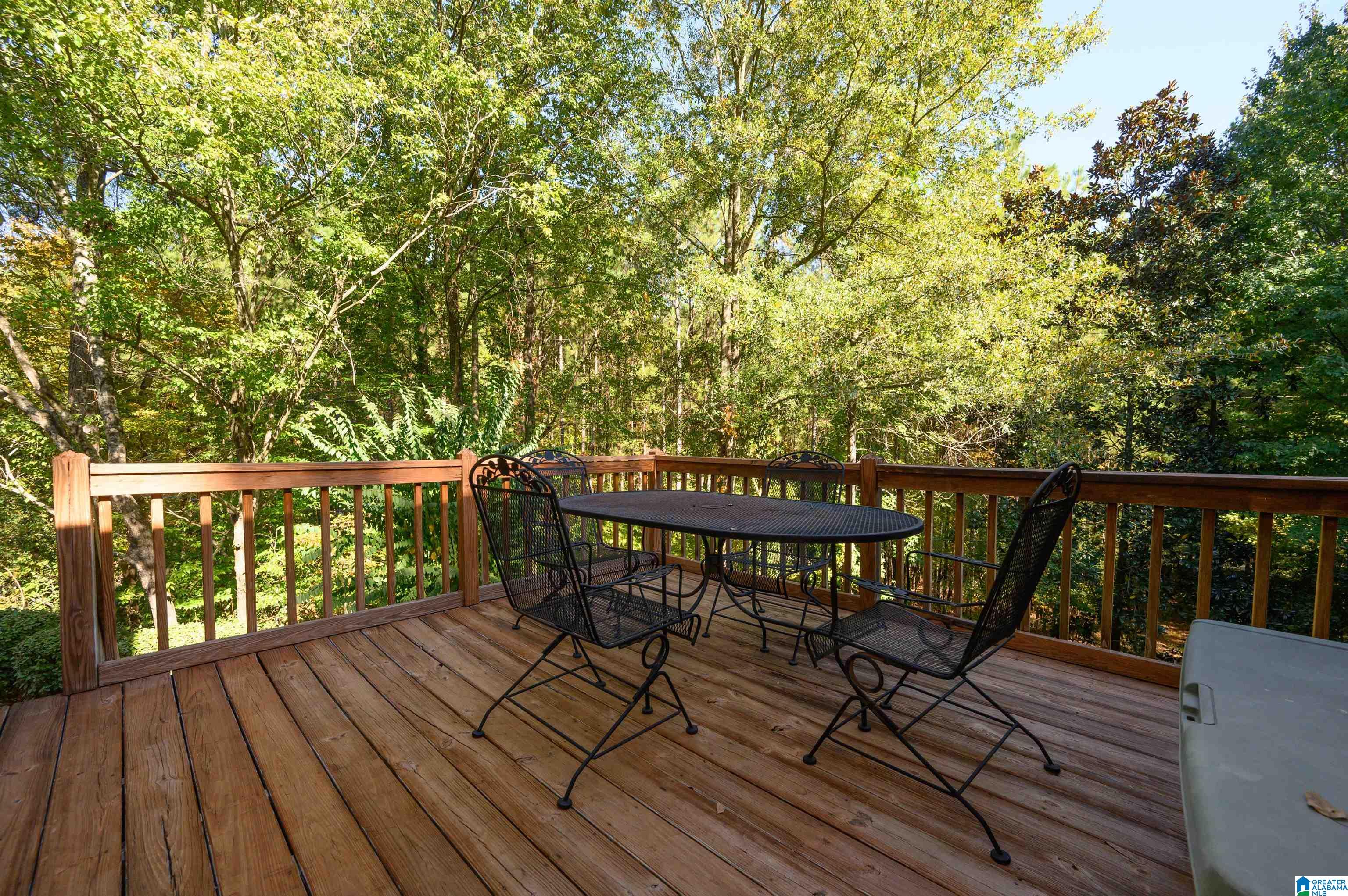 219 Trace Ridge Road Hoover, AL 35244 - Photo 46 of 52