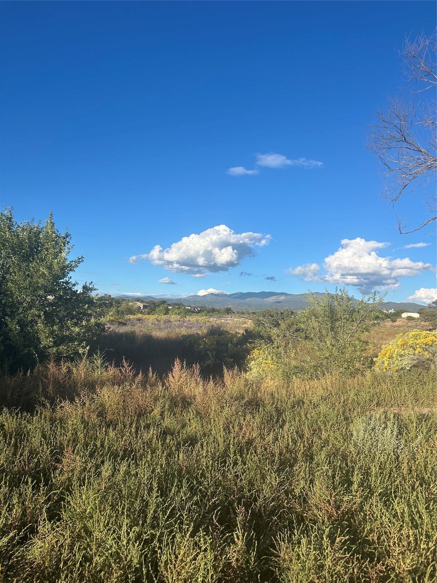 13 Benigna Road Glorieta, NM 87535 - Photo 2 of 4