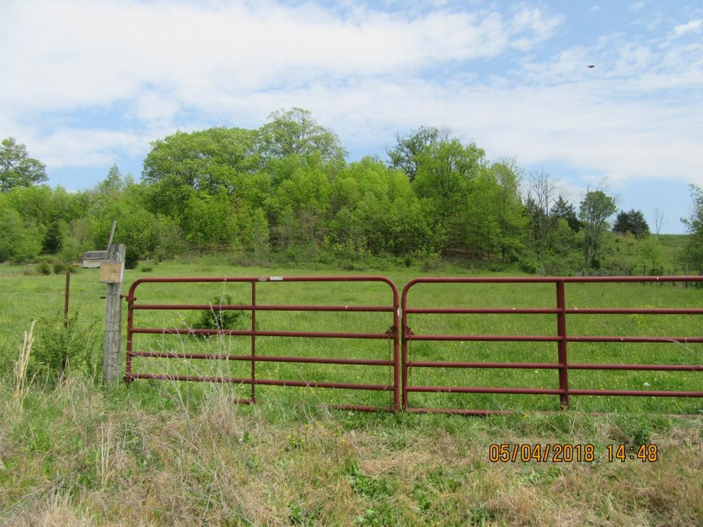 Tbd Old Snapps Ferry Road, Unit 1 & 2 Chuckey, TN 37641 - Photo 4 of 11 Entrance