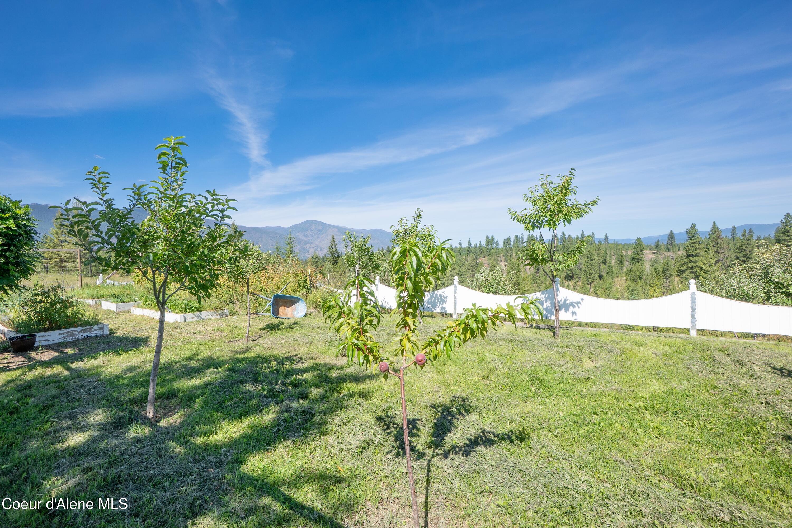222 Nighthawk Road Bonners Ferry, ID 83805 - Photo 28 of 30 Fruit Trees