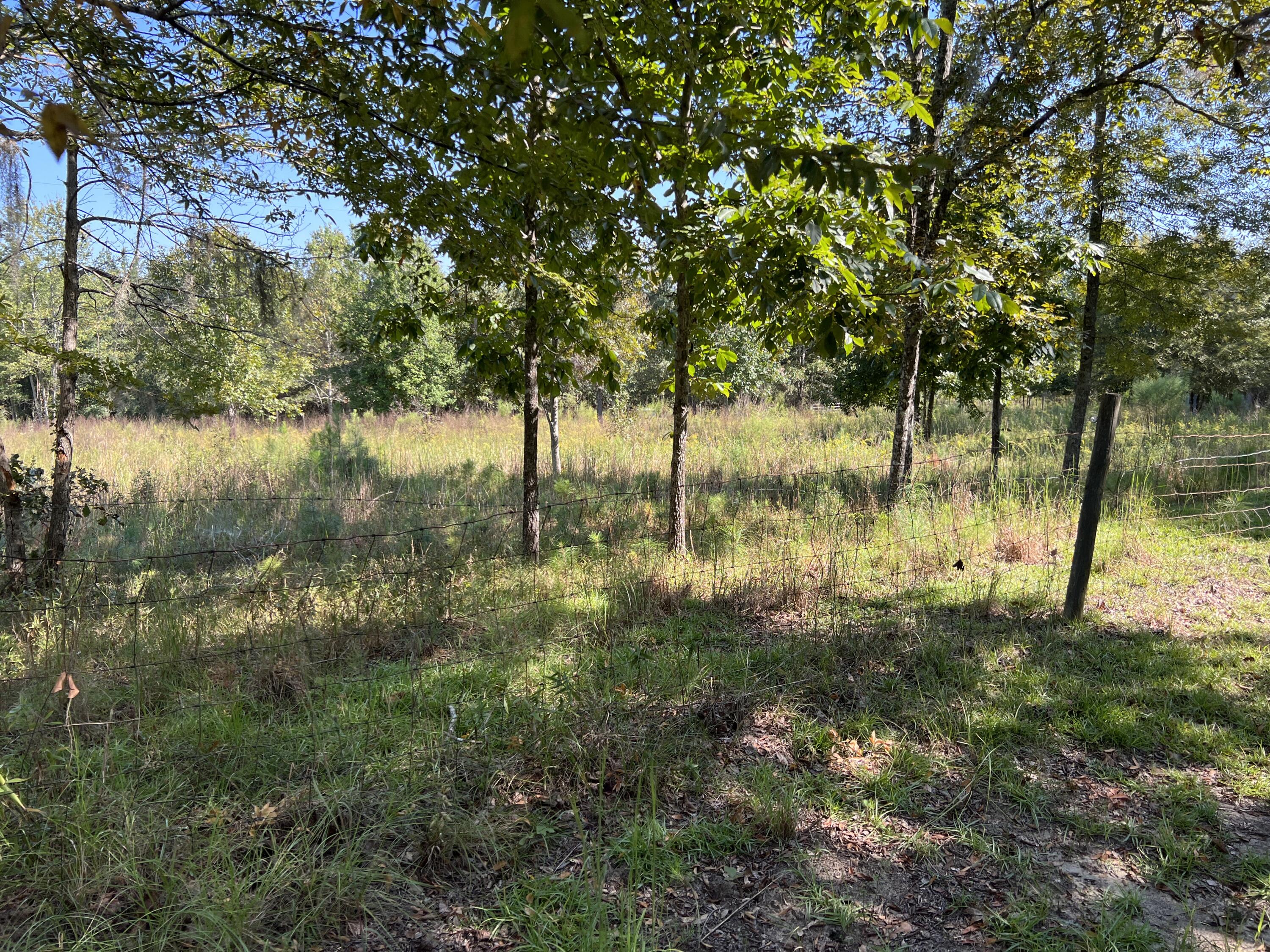 689 Hemlock Road Barnwell, SC 29812 - Photo 15 of 18 Gallery Image 15