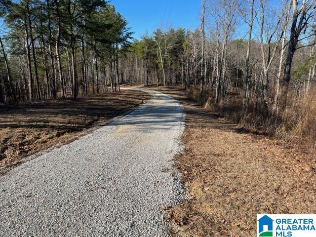 2575 Kentuck Road, Unit 40 AC Oxford, AL 36203 - Photo 23 of 23