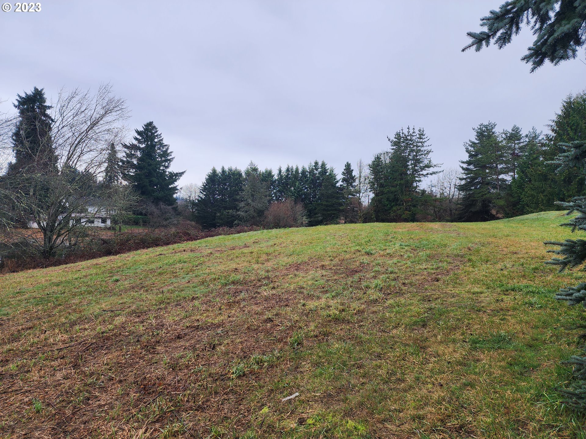 314 Northeast 209th Street Ridgefield, WA 98642 - Photo 15 of 17 a view of a field with an ocean