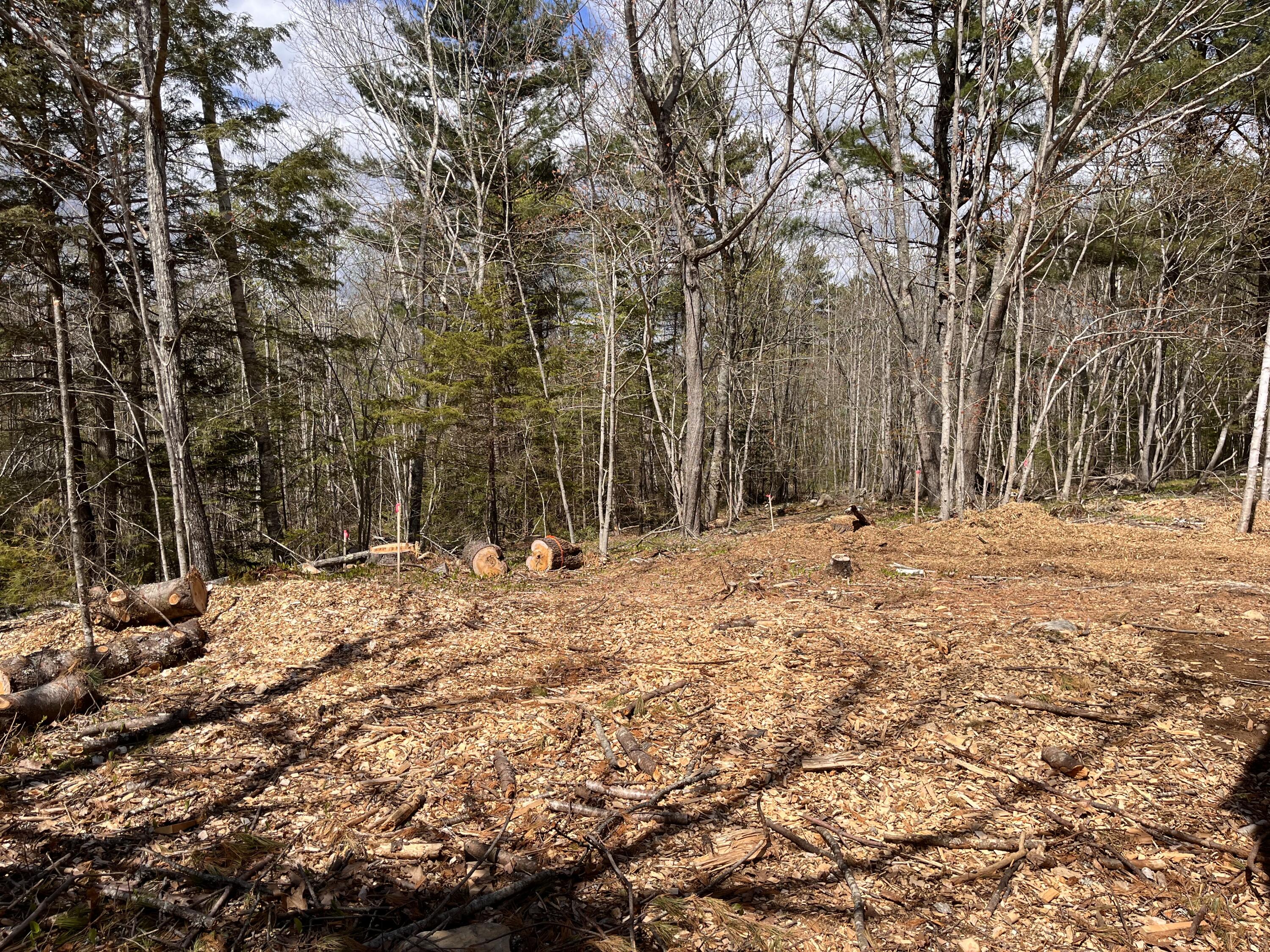 320 Shore Road Bremen, ME 04551 - Photo 24 of 32 C2ADB8EA-8123-4D46-A412-574BB627FFB0