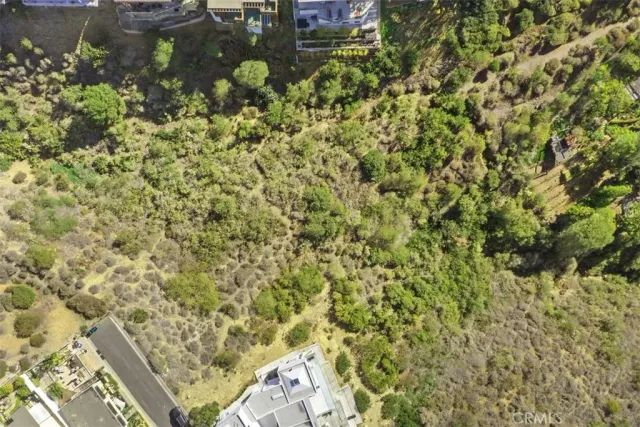 a close up of a plant