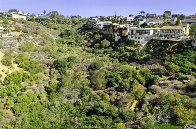 a view of a bunch of trees and houses