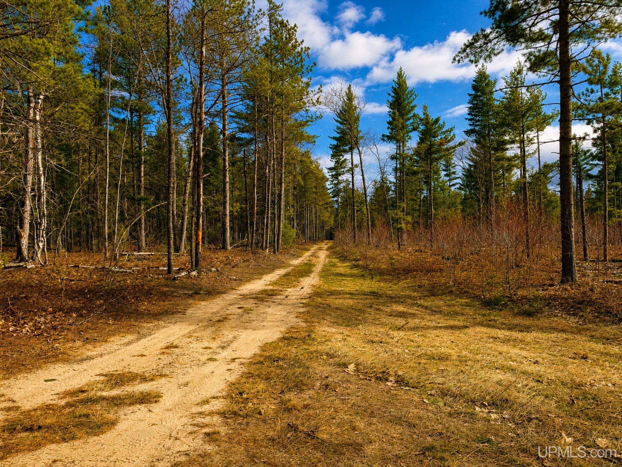 410 Rd Newberry Mi 49868 Road Newberry, MI 49868 - Photo 26 of 36