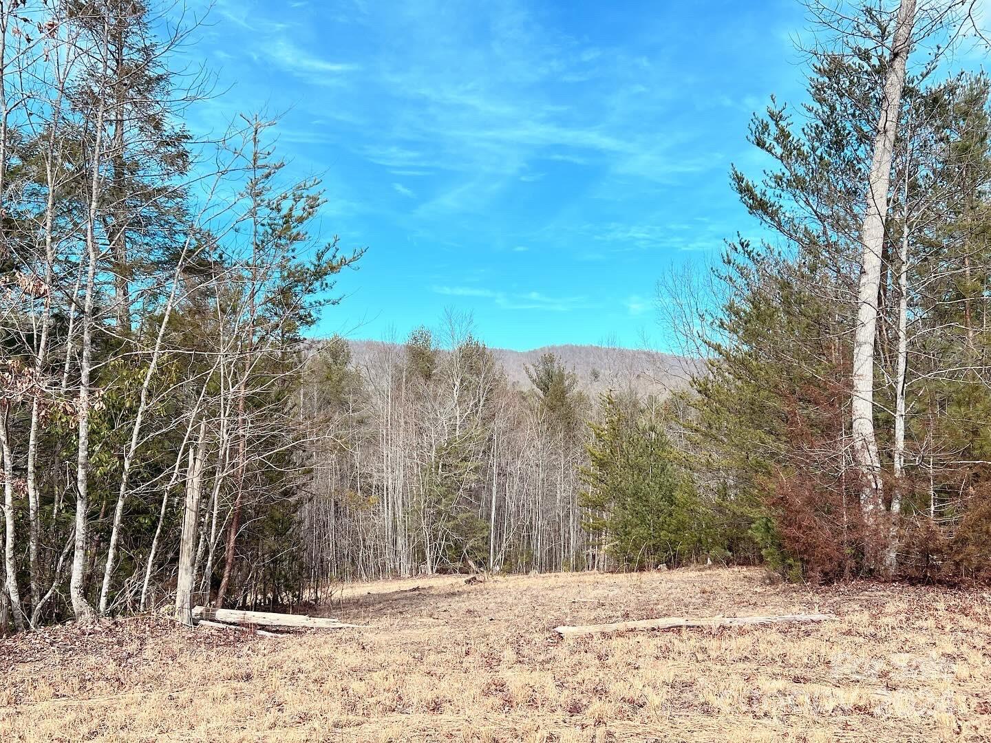0 Cottrell Hill Road Lenoir, NC 28645 - Photo 1 of 34 Gallery Image 1