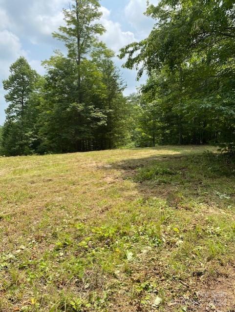 0 Cottrell Hill Road Lenoir, NC 28645 - Photo 11 of 34 Gallery Image 11