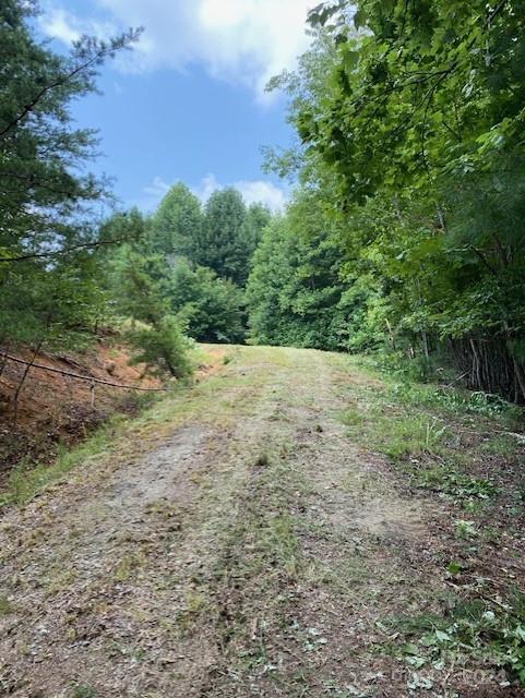 0 Cottrell Hill Road Lenoir, NC 28645 - Photo 14 of 34 Gallery Image 14