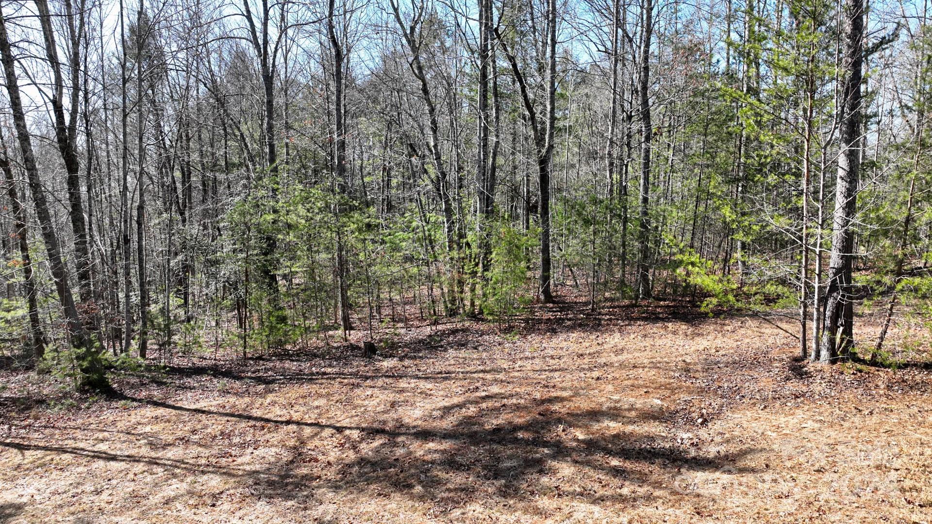 0 Cottrell Hill Road Lenoir, NC 28645 - Photo 21 of 34 Gallery Image 21