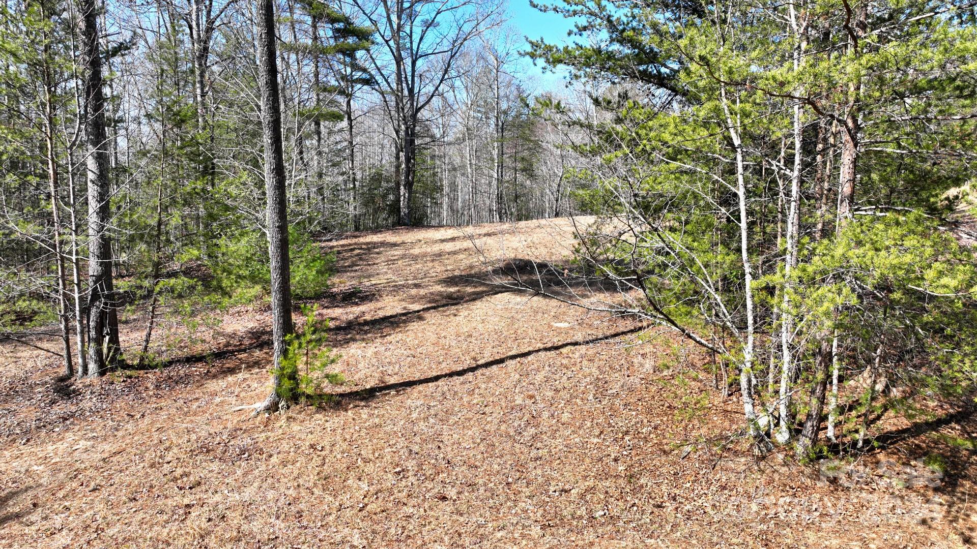 0 Cottrell Hill Road Lenoir, NC 28645 - Photo 22 of 34 Gallery Image 22