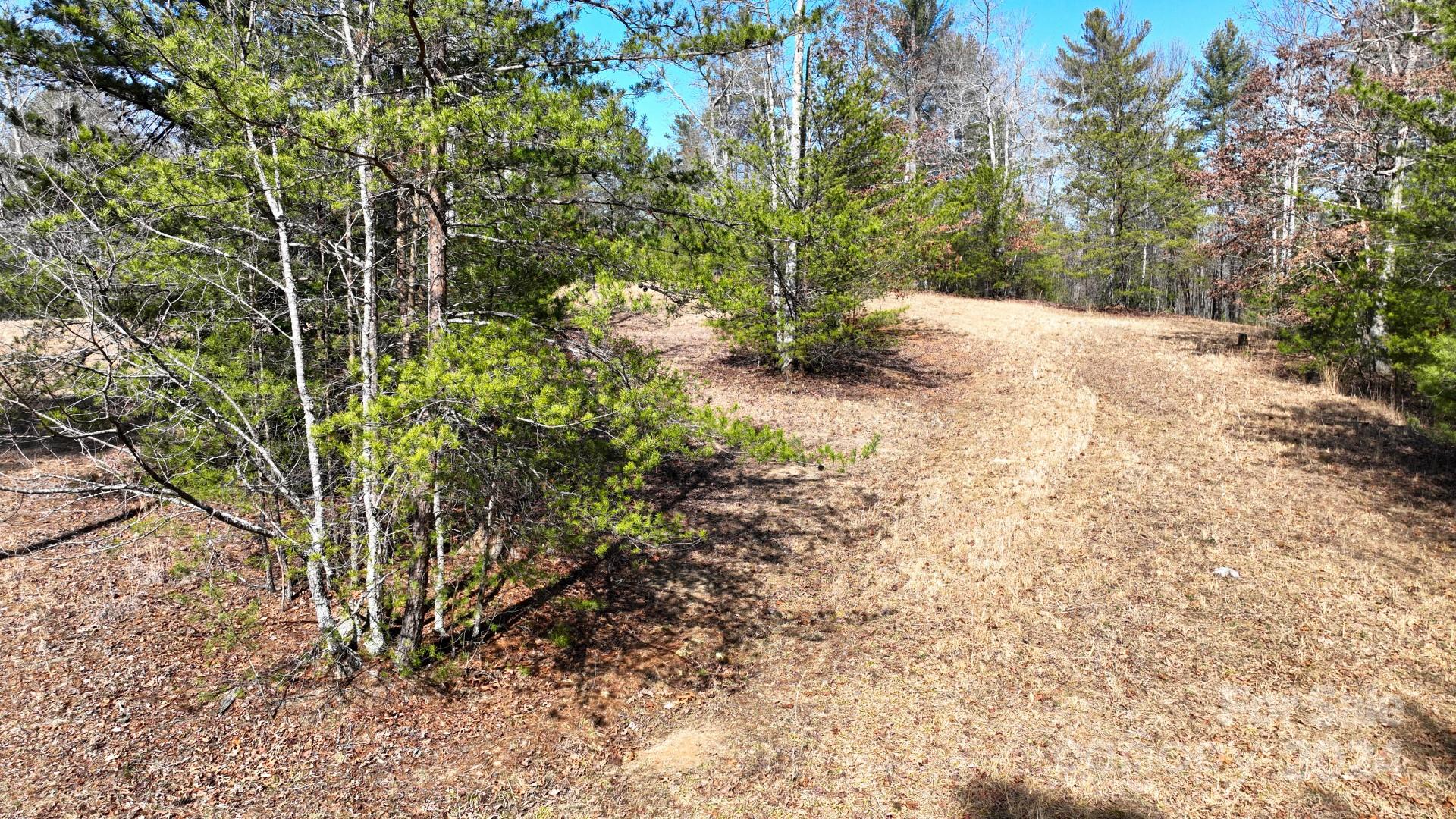 0 Cottrell Hill Road Lenoir, NC 28645 - Photo 23 of 34 Gallery Image 23