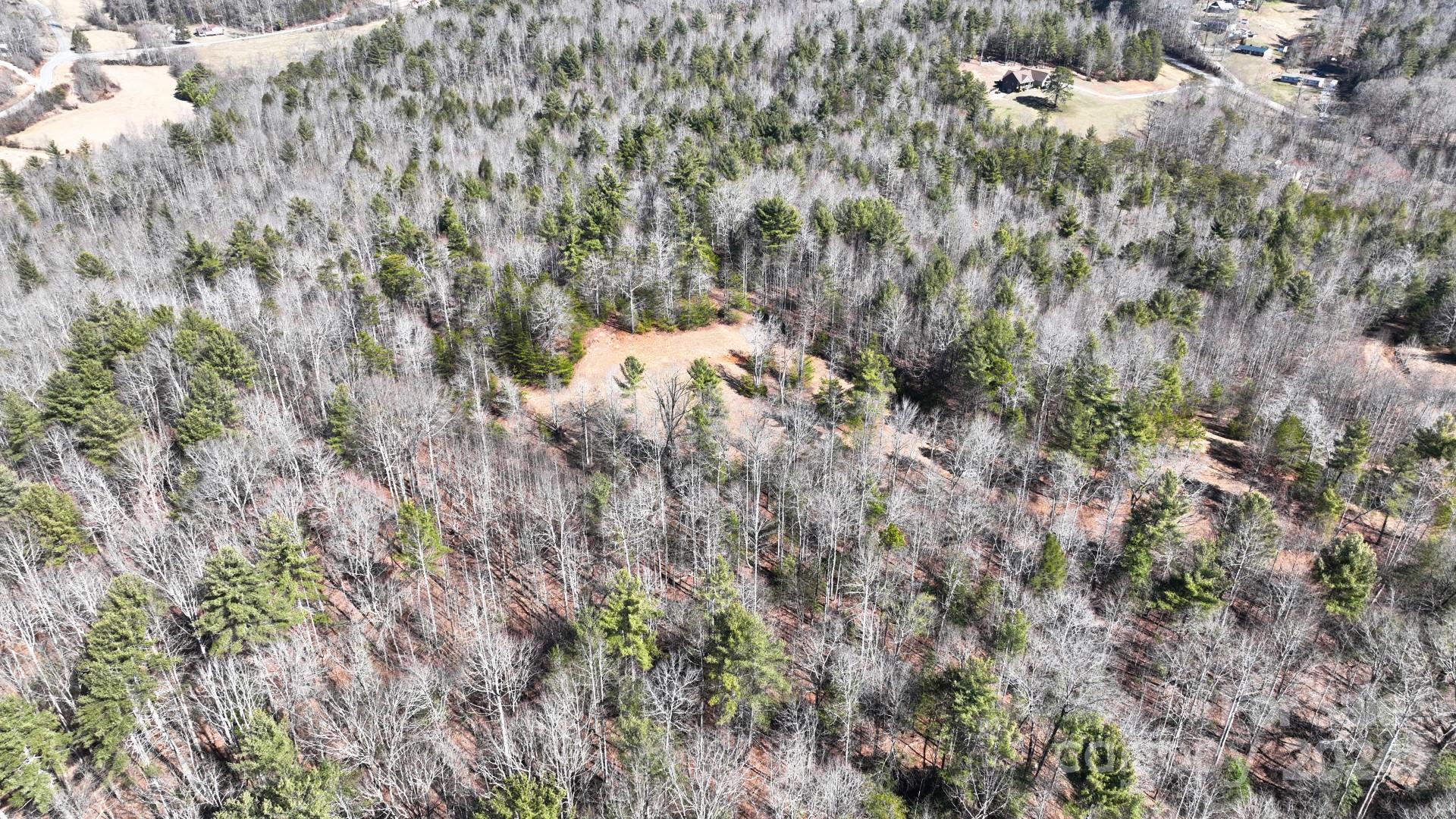 0 Cottrell Hill Road Lenoir, NC 28645 - Photo 25 of 34 Gallery Image 25