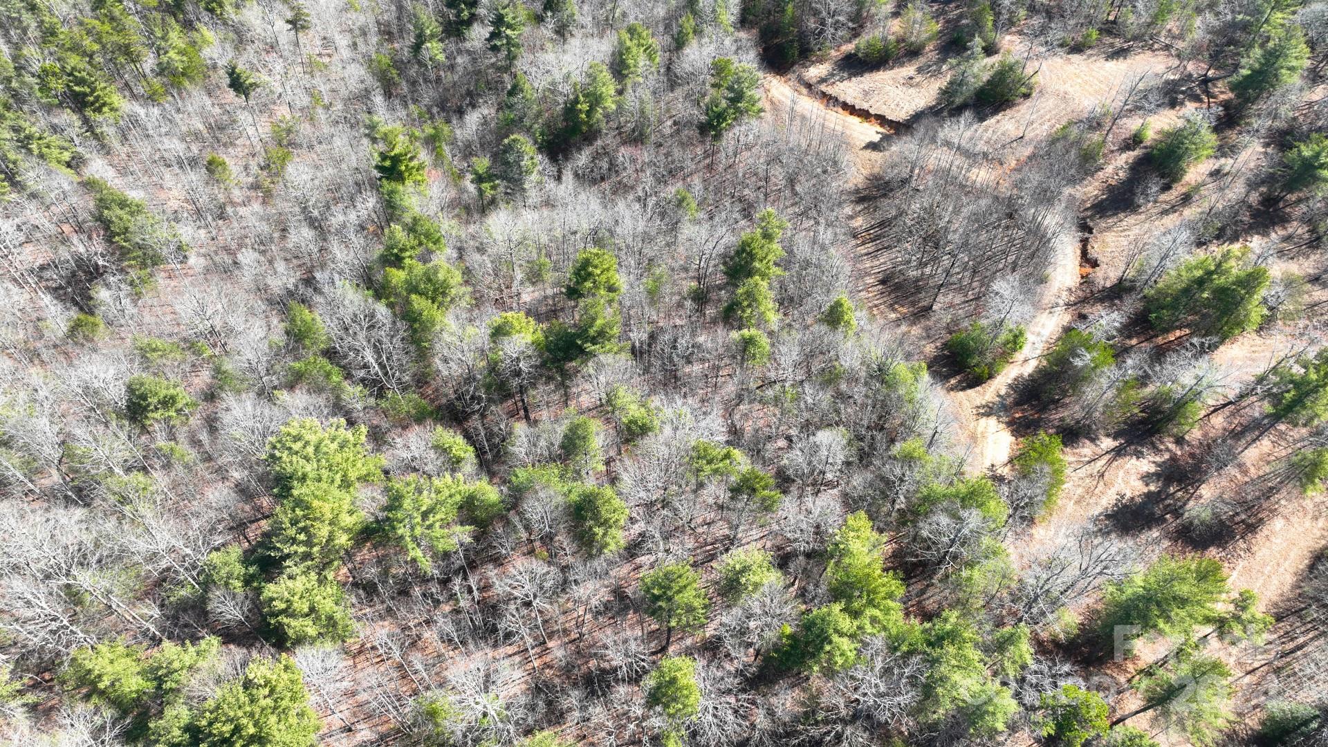 0 Cottrell Hill Road Lenoir, NC 28645 - Photo 30 of 34 Gallery Image 30