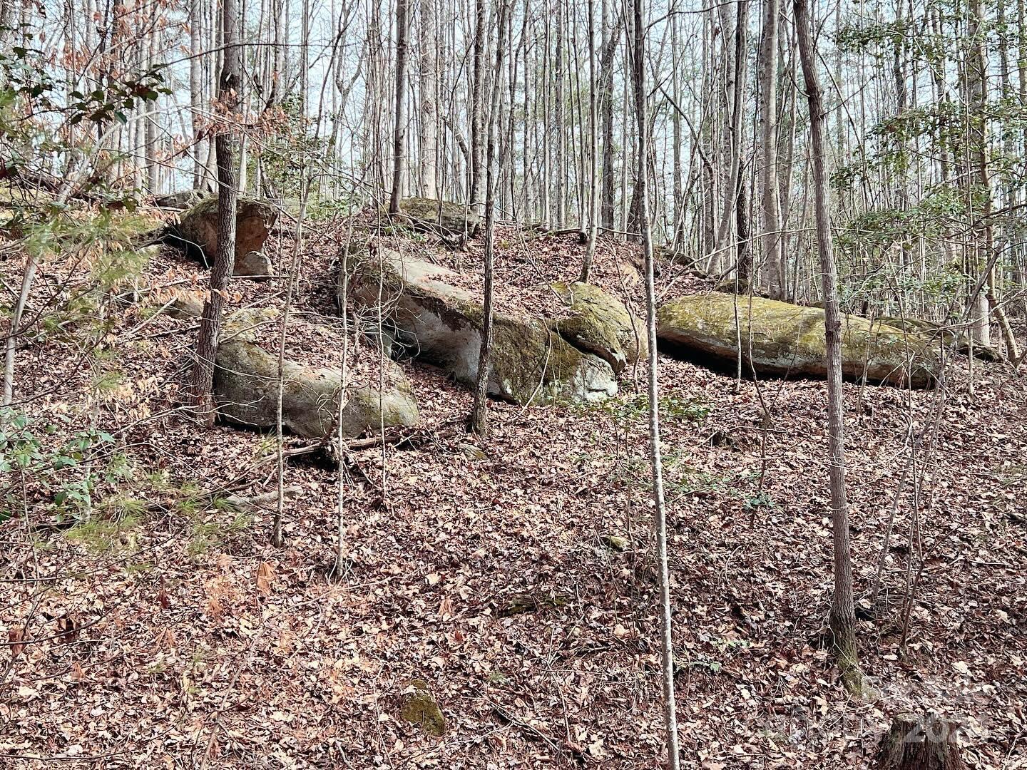 0 Cottrell Hill Road Lenoir, NC 28645 - Photo 3 of 34 Gallery Image 3