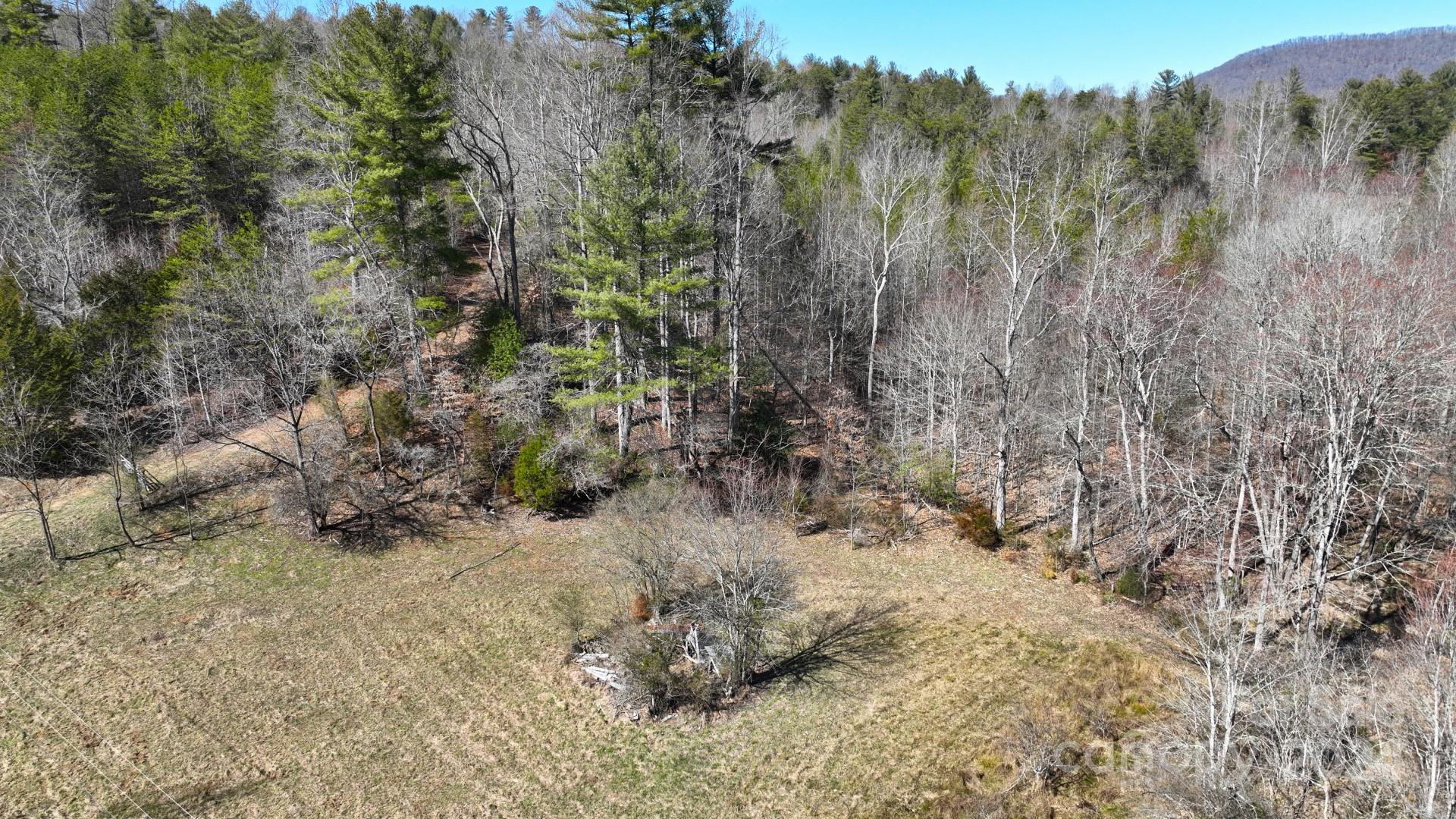 0 Cottrell Hill Road Lenoir, NC 28645 - Photo 33 of 34 Gallery Image 33