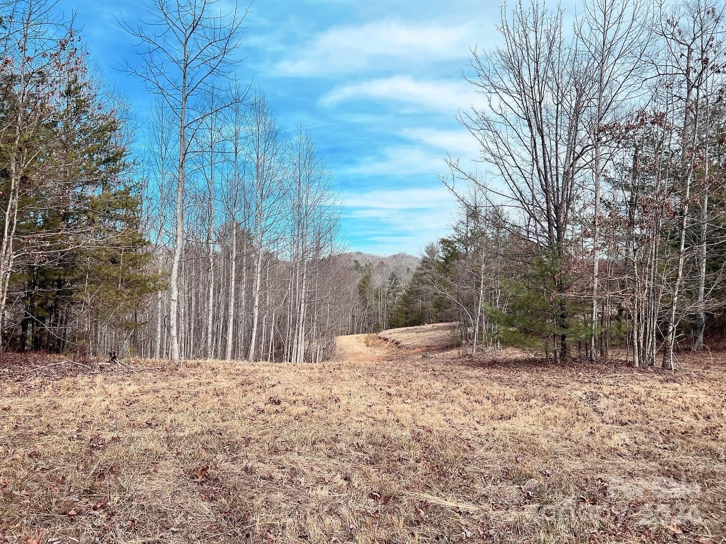 0 Cottrell Hill Road Lenoir, NC 28645 - Photo 4 of 34 Gallery Image 4