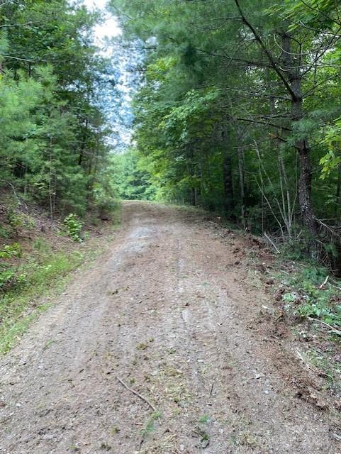 0 Cottrell Hill Road Lenoir, NC 28645 - Photo 6 of 34 Gallery Image 6