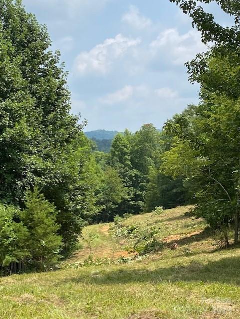 0 Cottrell Hill Road Lenoir, NC 28645 - Photo 9 of 34 Gallery Image 9